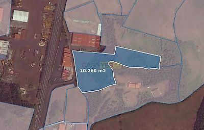 listing-picture-0