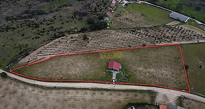 listing-picture-0