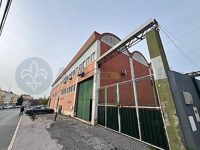 listing-picture-0