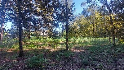 listing-picture-0