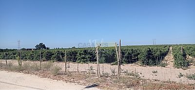 listing-picture-0