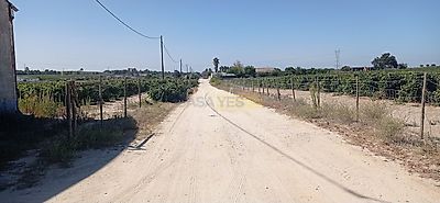 listing-picture-0