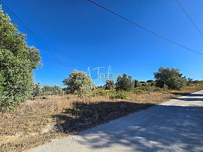 listing-picture-0