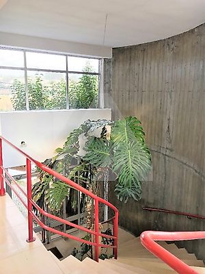 listing-picture-0
