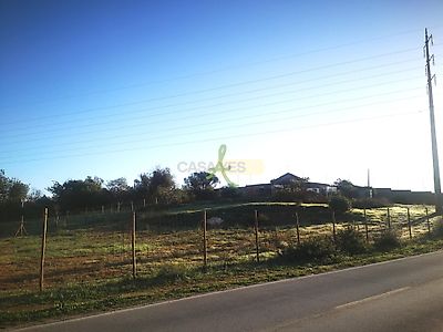 listing-picture-0