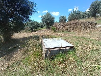 listing-picture-0