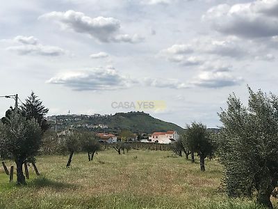 listing-picture-0