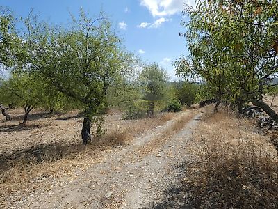 listing-picture-0