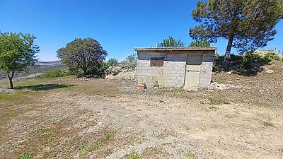 listing-picture-0