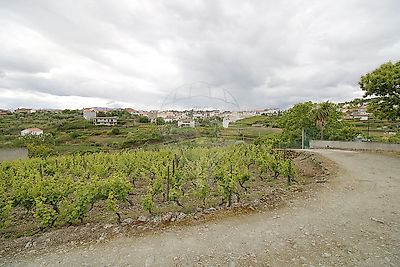 listing-picture-0