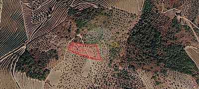 listing-picture-0