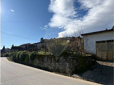 listing-picture-0