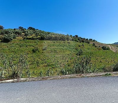 listing-picture-0