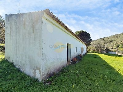 listing-picture-0