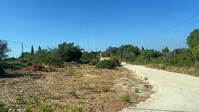 listing-picture-0