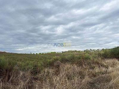 listing-picture-0