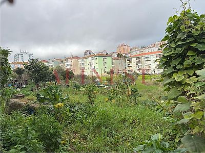 listing-picture-0