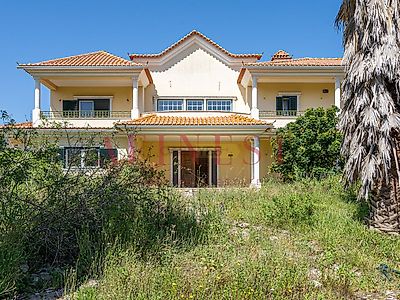 listing-picture-0