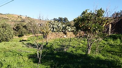 listing-picture-0