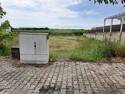listing-picture-0