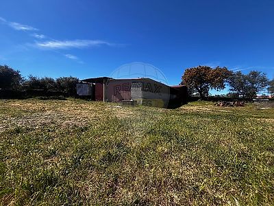 listing-picture-0