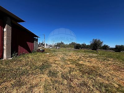listing-picture-0