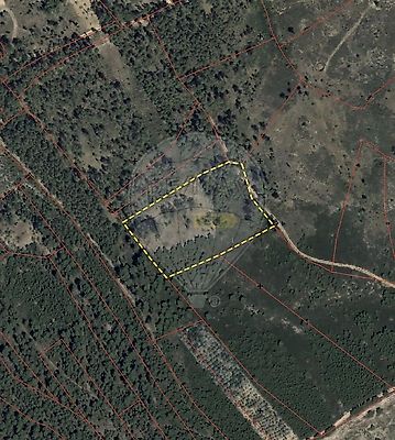 listing-picture-0
