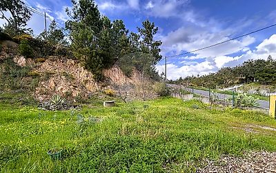 listing-picture-0