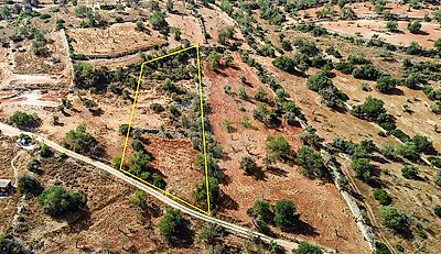 listing-picture-0