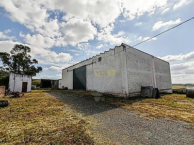listing-picture-0