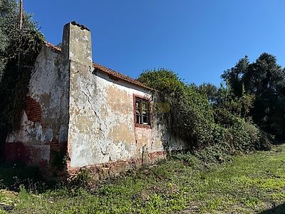 listing-picture-0