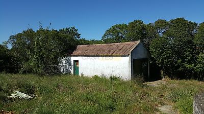 listing-picture-0