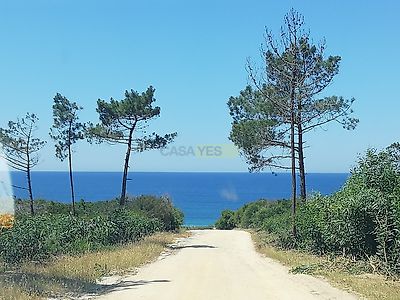 listing-picture-0