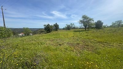 listing-picture-0