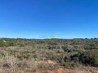 listing-picture-0