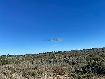 listing-picture-0