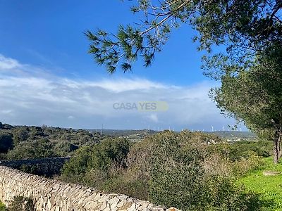 listing-picture-0