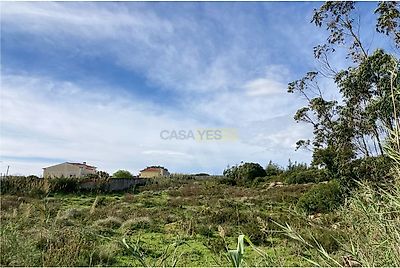 listing-picture-0