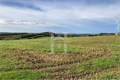 listing-picture-0