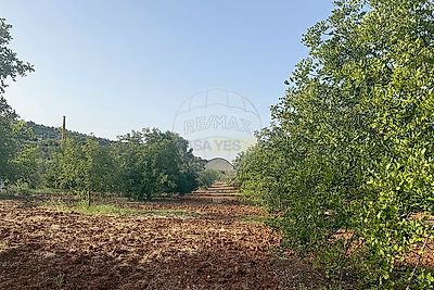 listing-picture-0