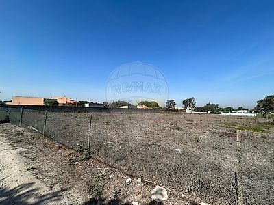 listing-picture-0