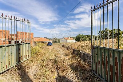 listing-picture-0