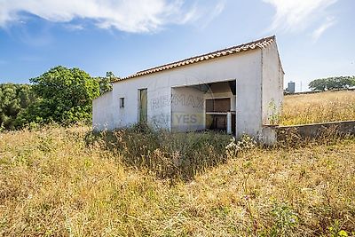listing-picture-0