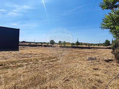 listing-picture-0
