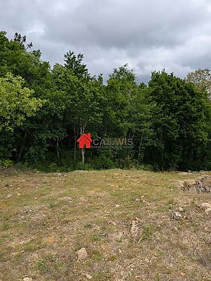 listing-picture-0