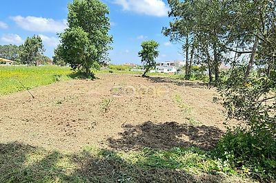 listing-picture-0