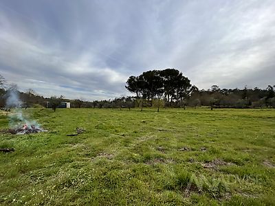 listing-picture-0