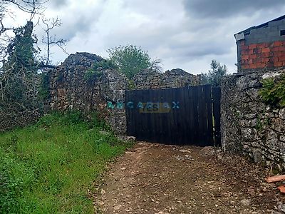 listing-picture-0