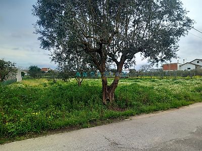 listing-picture-0