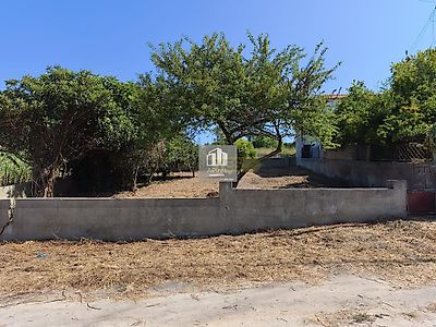 listing-picture-0